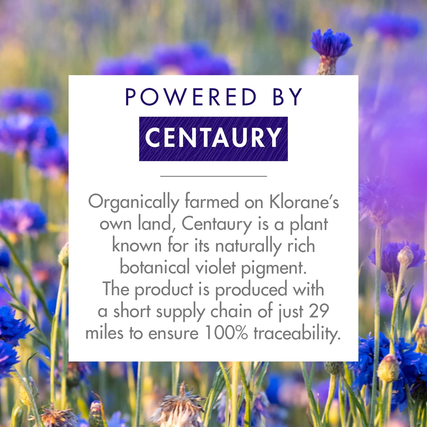 Klorane Plant-Based Purple Conditioner - Brightens Blonde & Gray Hair | 6.7 fl. oz.