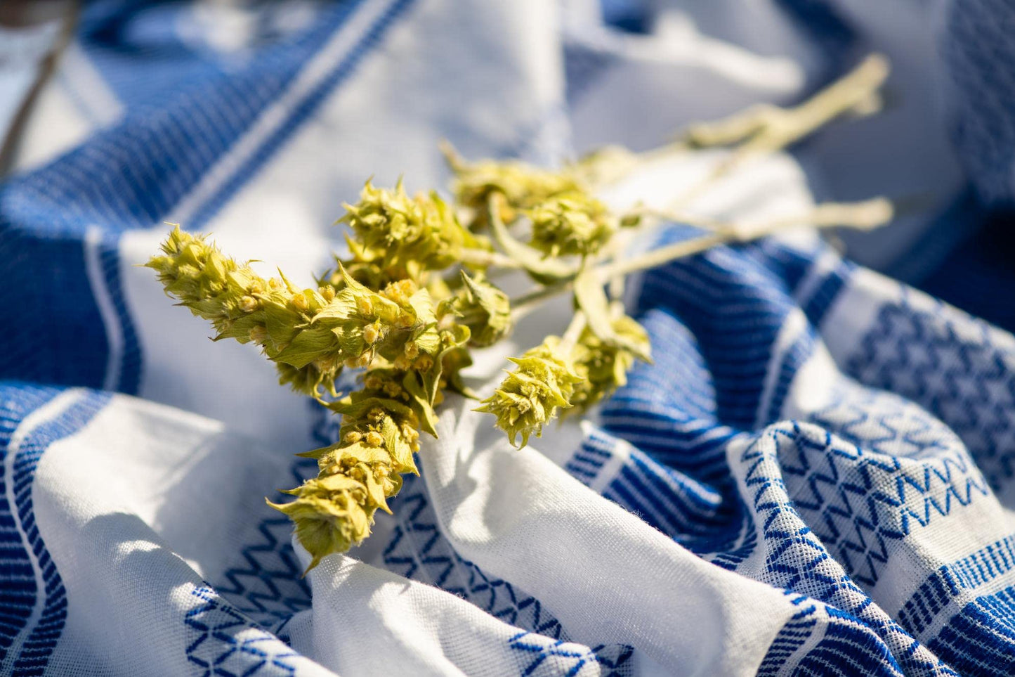 KORRES Olympus Tea Deep Detox Cleansing Cloths, Face Wipes to Cleanse Pores, Makeup Remover Wipes, Purifying Skin Care Cloths for Women and Men, Disposable, Vegetarian, Made in Greece, 30 Count