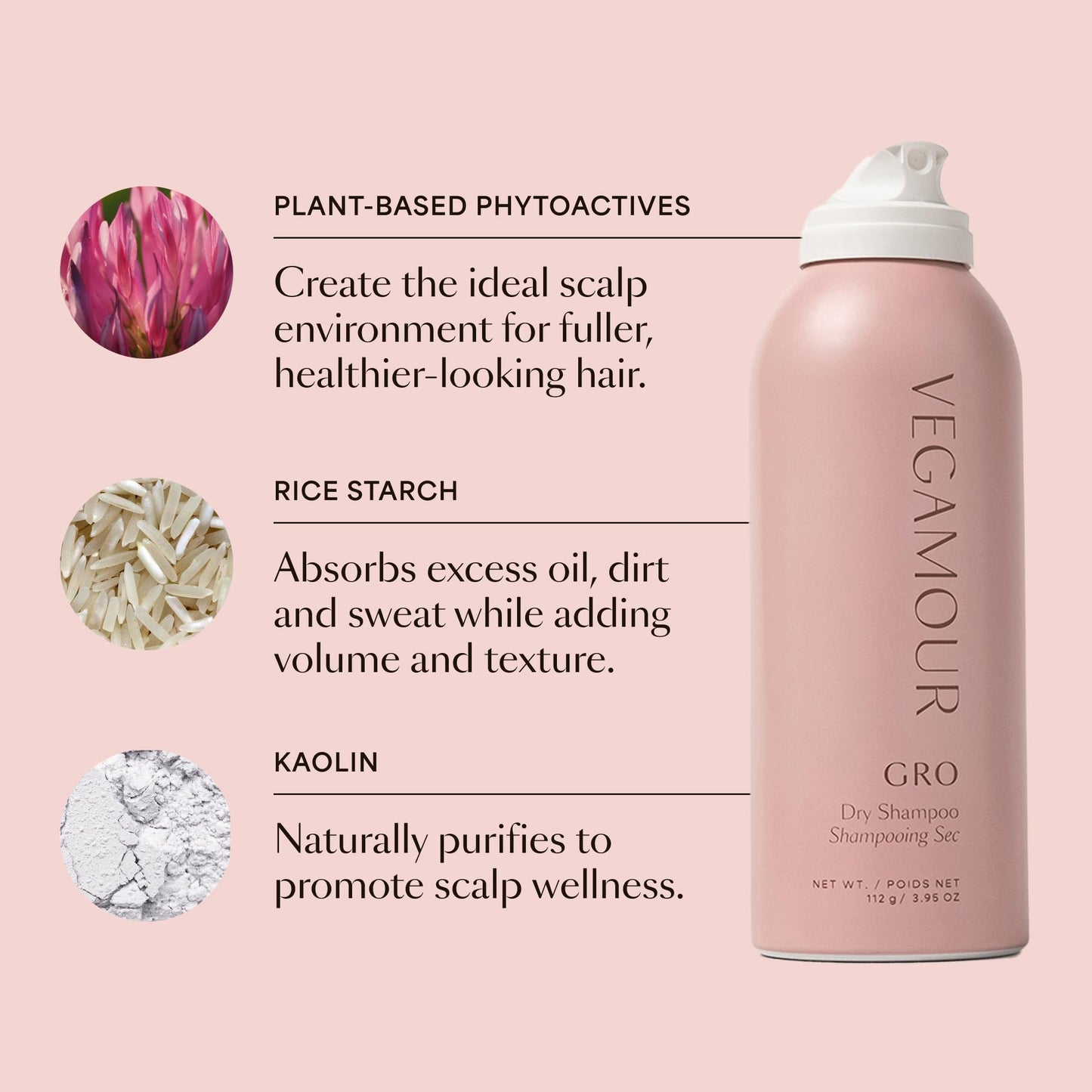 VEGAMOUR GRO Dry Shampoo - Plant-Powered, Absorbs Oil, Neutralizes Odor, Adds Volume, Talc-Free, No Buildup, Refreshes Between Washes, Vegan & Cruelty-Free