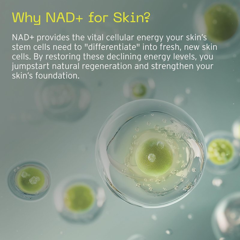 Aramore NAD+ Cell Energizing Skin Care Treatment with Proprietary NAD+ Precursor Complex, Clinically Proven to Target 12 Signs of Aging - 15ml