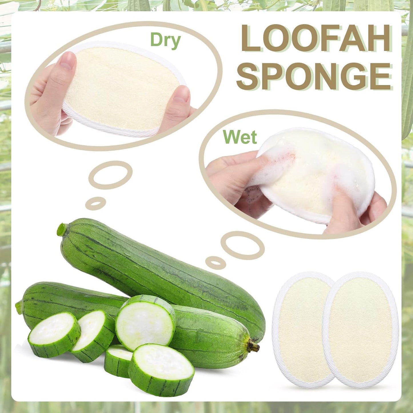 Exfoliating Loofah Pad - 50 Natural Luffa Scrubber Sponges for Men & Women | Bath & Shower Essential