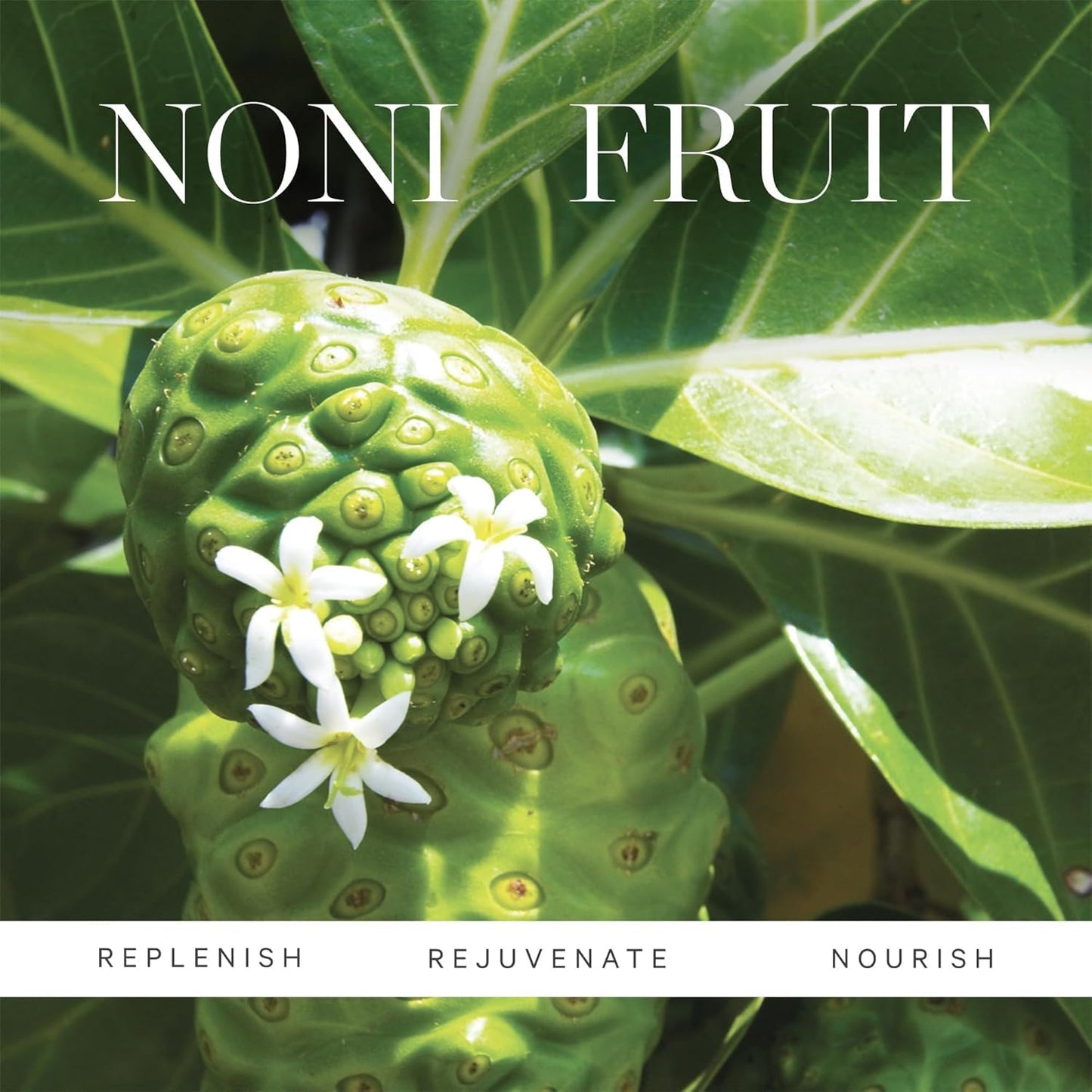 KORA Organics Noni Night AHA Resurfacing Serum, Smooth & Refine, Certified Organic, Cruelty Free, 1.01 fl oz