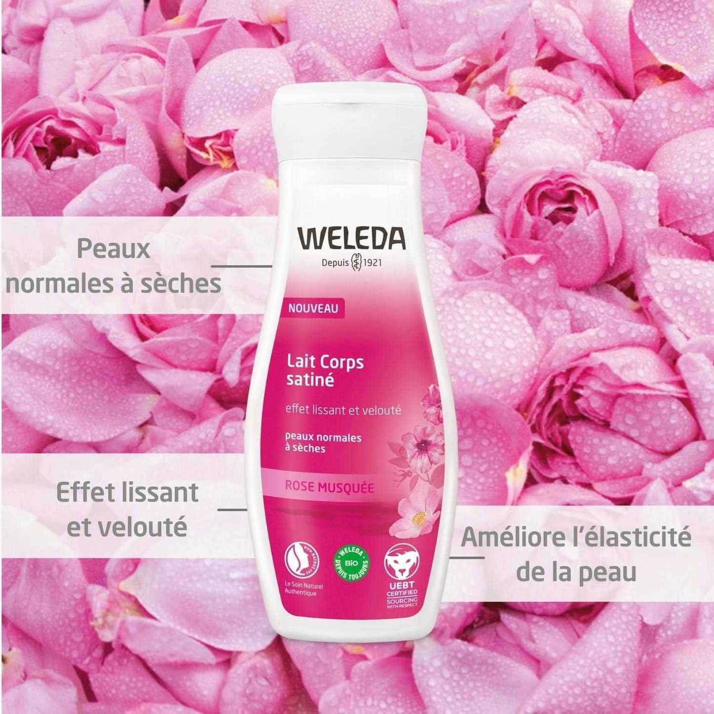 Weleda Pampering Wild Rose Body Lotion, Plant Rich Moisturizer with Wild Rose Oil, Jojoba Oil and Shea Butter, 6.8 Fl Oz (Pack of 2)