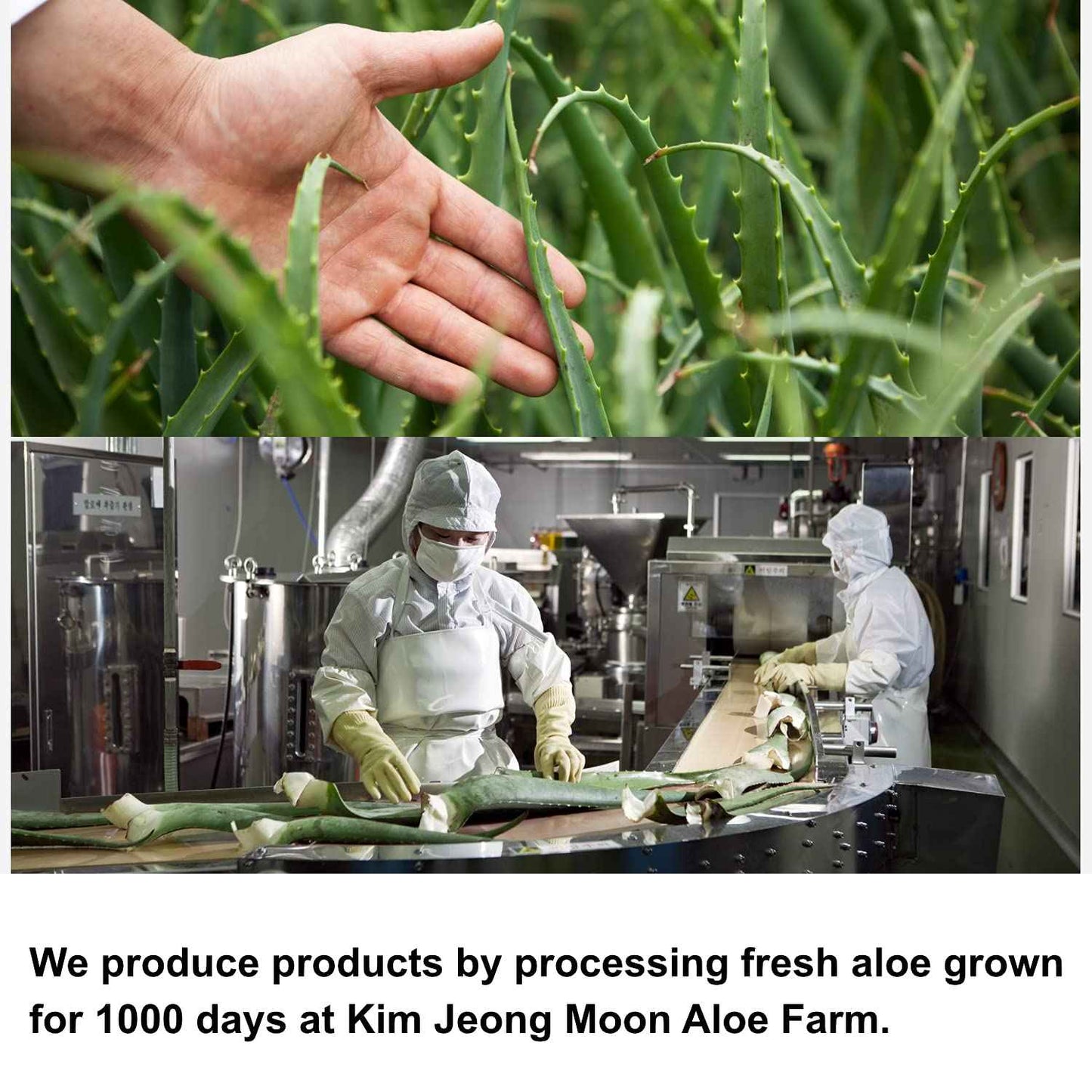 Kim Jeong Moon Aloe CURE Water Splash Cooling Sun Stick SPF 50+ PA++++ 23g / Soothing UV protection Suncreen