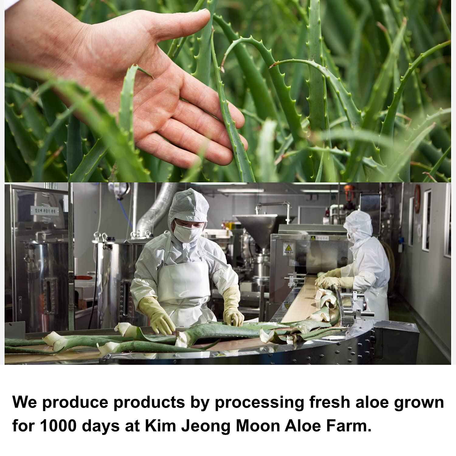 Kim Jeong Moon Aloe CURE Water Splash Cooling Sun Stick SPF 50+ PA++++ 23g / Soothing UV protection Suncreen