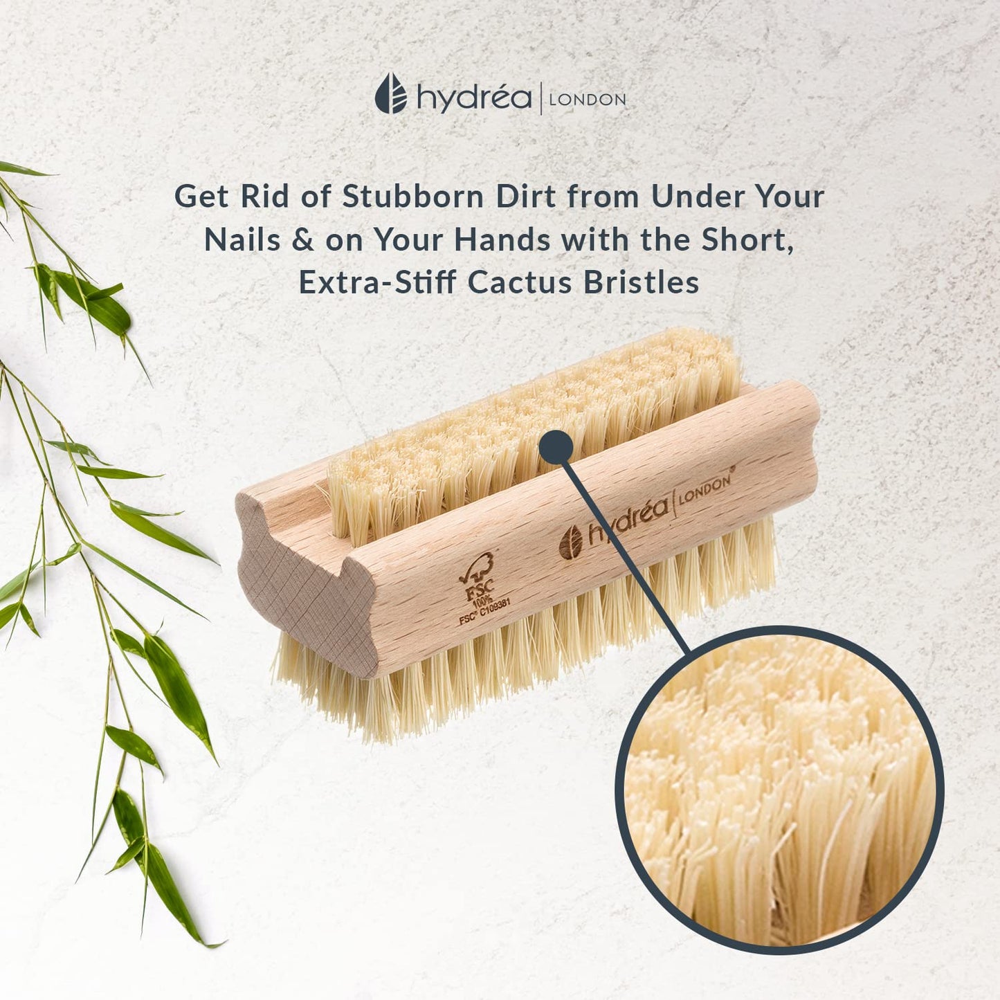 Hydréa London Beechwood Nail Brush Set - Extra Tough FSC® Certified with Firm Cactus Bristles | Twin Pack