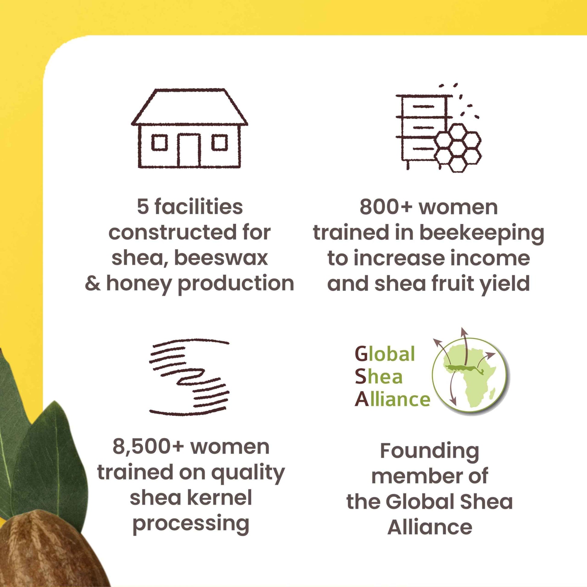 Burt's Bees Shea + Tropical Fruit Luminous Body Oil, Non-Greasy, Antioxidant Rich for Glowing Skin, Non-Irritating, Natural Origin Skin Care, 8 oz.