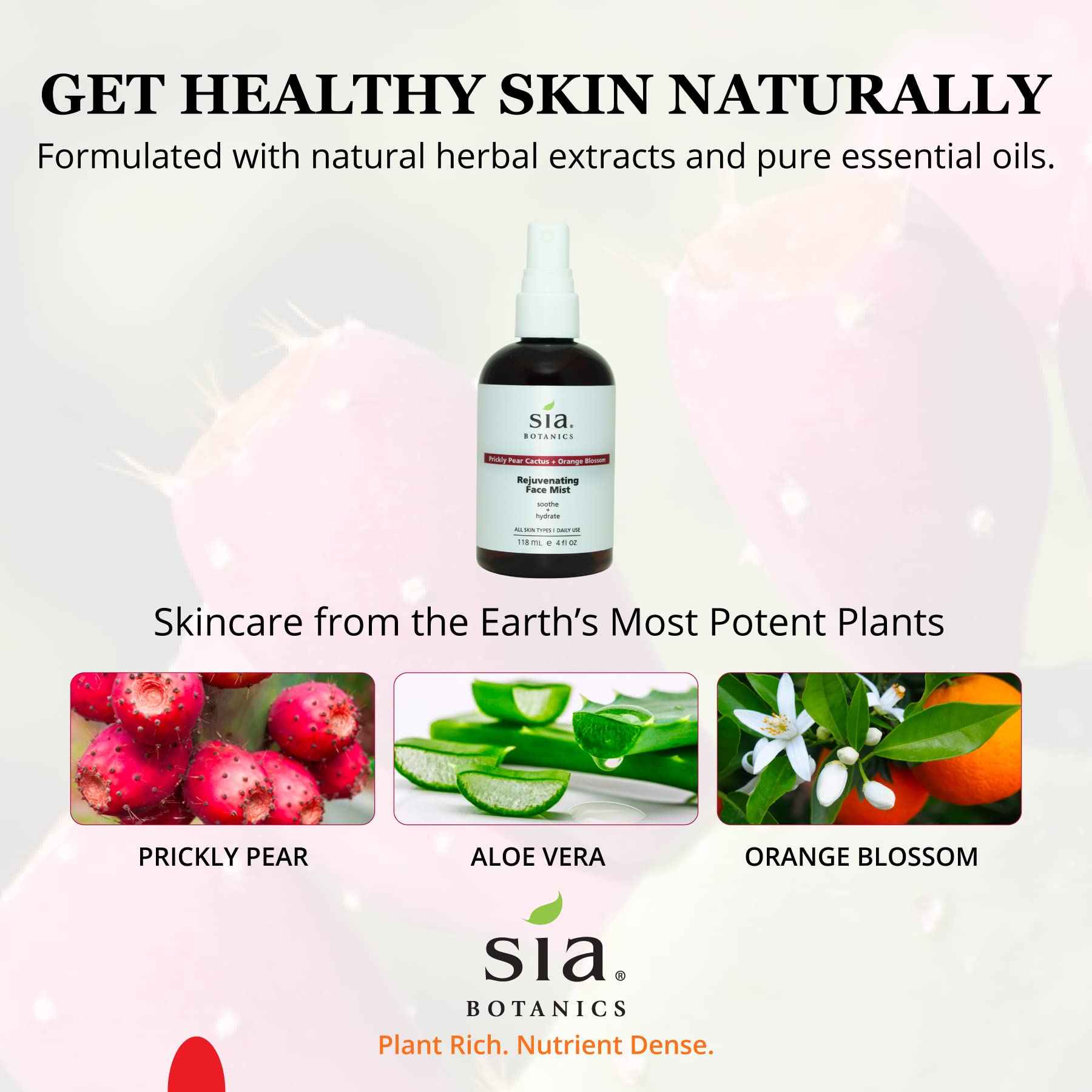 Sia Botanics Rejuvenating Face Toner Mist (118ml/4oz Bottle) | Facial Treatment w/Prickly Pear, Aloe Vera, Orange Blossom | Natural, Clean, Botanical Skincare for Women