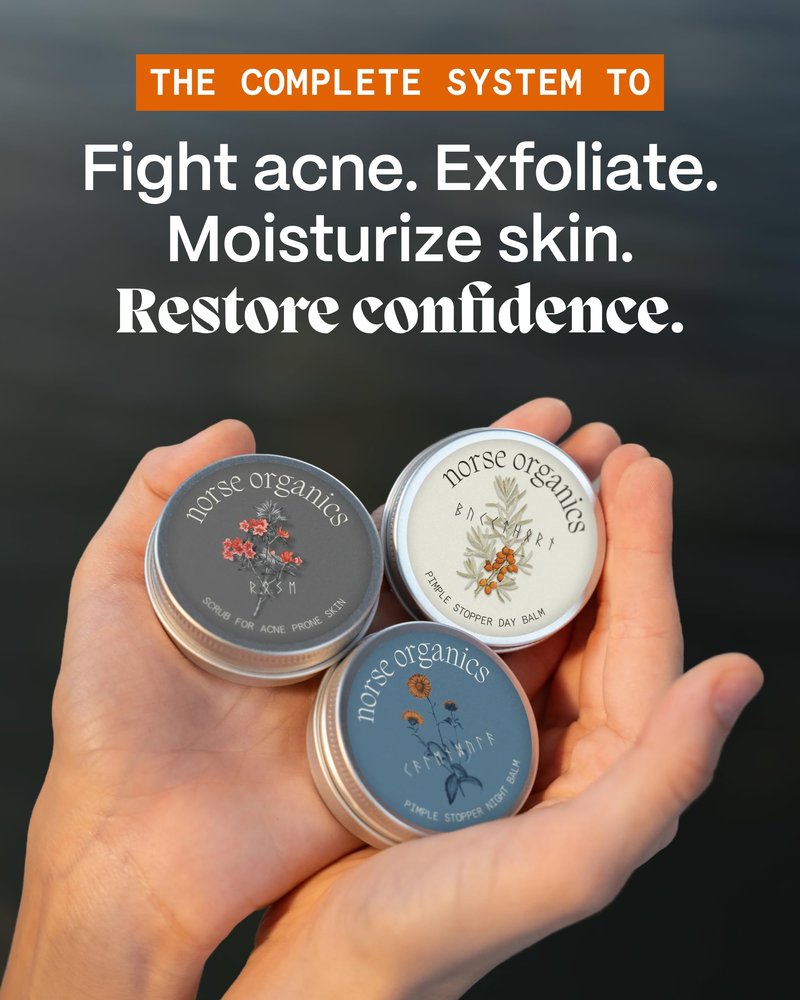 Norse Organics | The Complete System For Pimples | 3 Step System with Day Glow Balm, Acne Night Balm, Face Scrub | Natural Face Care with Arctic Herbs & Beeswax for Teens & Adults (3 pc kit)