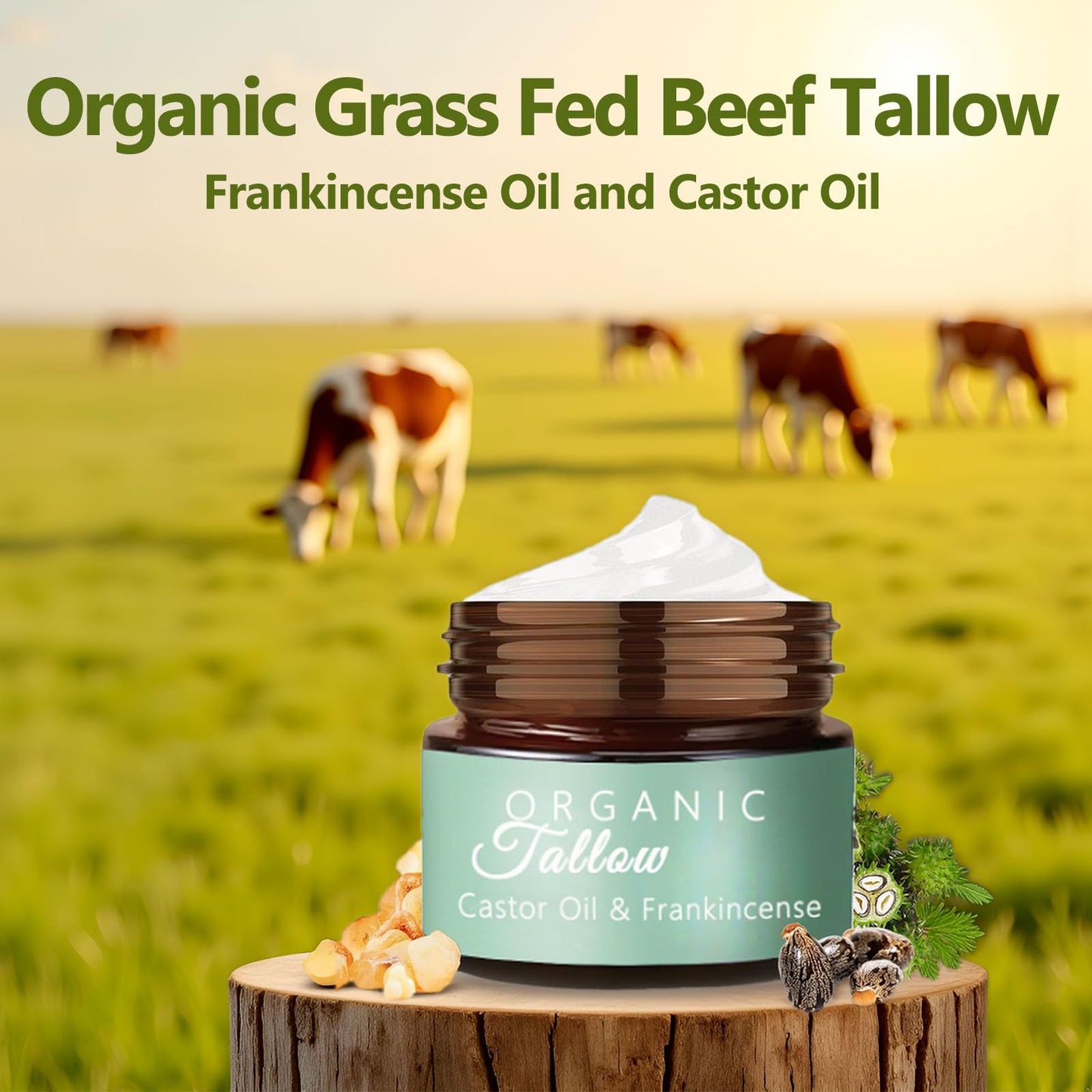 Vbolre Grass Fed Beef Tallow with Frankincense Oil and Castor Oil, Organic Grass Fed Beef Tallow for Skin, Whipped Beef Tallow Frankincense Oil Castor Oil for Skin Face Body Moisturizer (1)