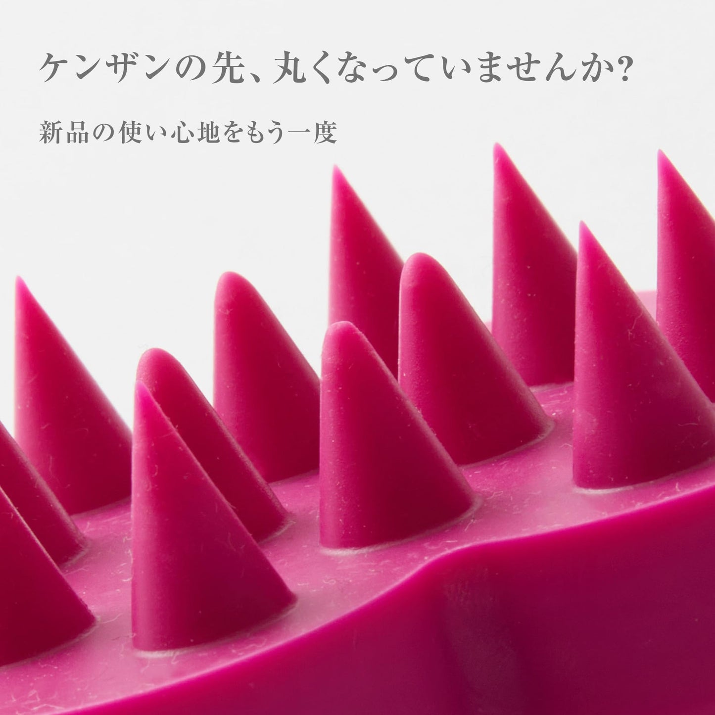 Shampoo Brush Kenzan
