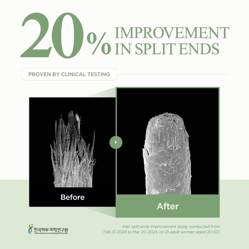 Nourishing Hair Butter Travel Kit for Damaged Hair, 10ml*9pcs, Shea Butter & Green Tea, Korean Hair Care, Hair Treatment Mask, Vegan Protein