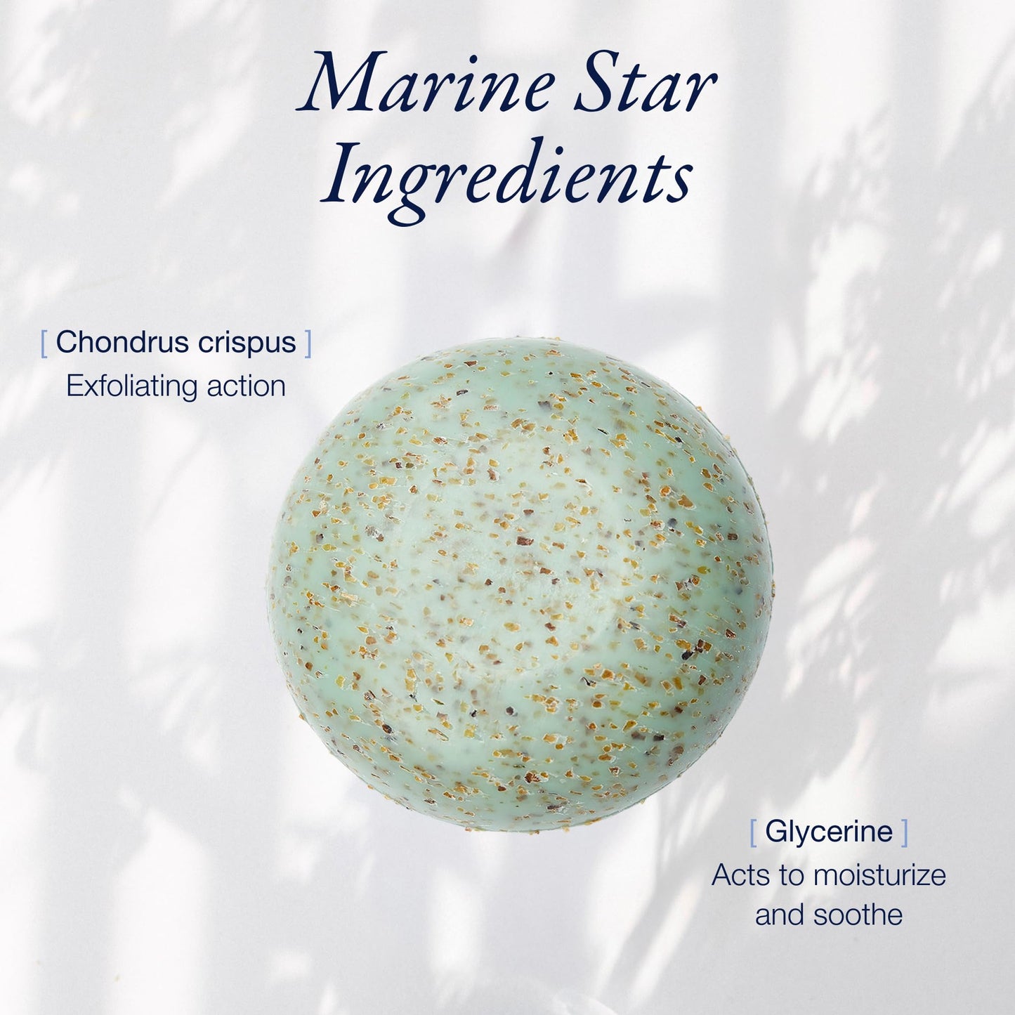 Phytomer Seaweed Soap Bar with Exfoliating Cleansing Particles (150 gr)