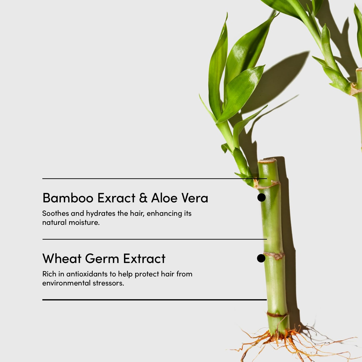 LATHER - Bamboo Lemongrass Hair Wash, 8 fl oz (2-Pack) - Daily Shampoo & Cleanser - Revitalize Hair - Bamboo, Comfrey, Chamomile - Sensitive Skin Safe - Vegan & Cruelty Free - Beauty & Hair Care