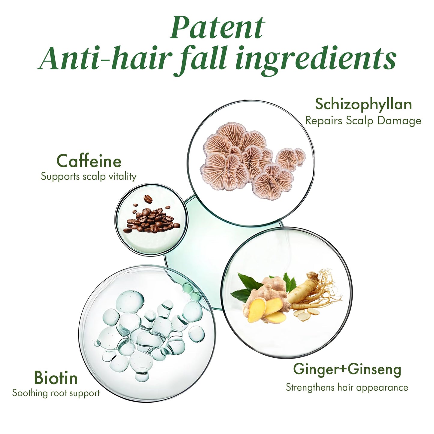 ALFHEIM Saw Palmetto Follicle Boost Scalp Serum Travel Size, Clinically Tested Formula for Thinning Hair, Peptides, Caffeine & Biotin, 0.34 fl Oz