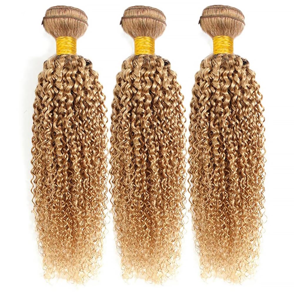 Honey Blonde Human Hair Bundles 16 18 20 Inch Kinky Curly Wave Bundles Human Hair Unprocessed Native Virgin Hair 100/PC 3 Extensions #27 Blonde Color Wet and Wavy Human Hair Extensions for Women