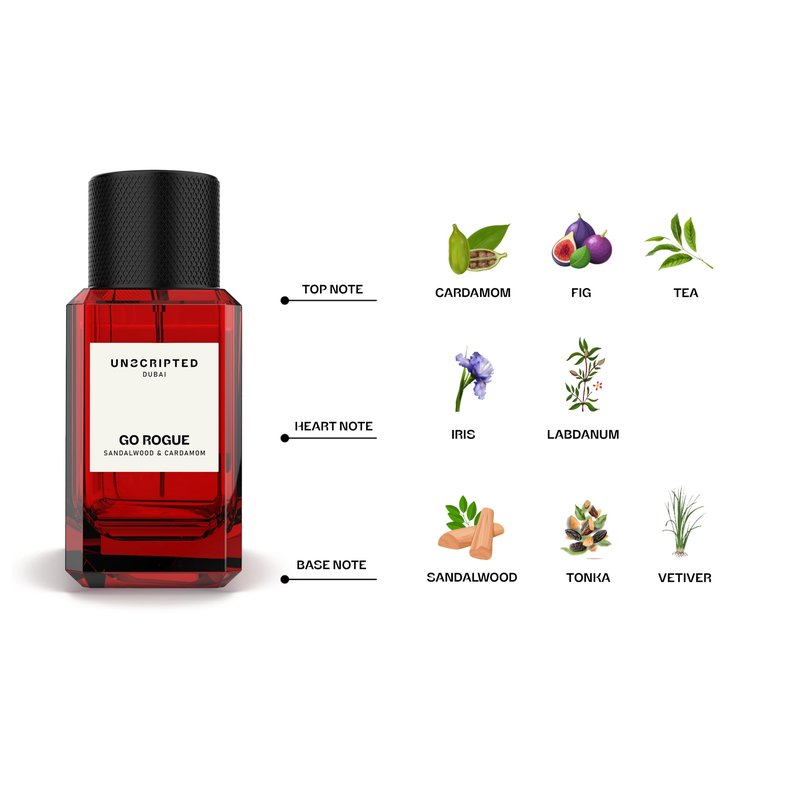 Unscripted Go Rogue - Bold and Unique Perfume for Men - Long-Lasting Men Perfume with Cardamom, Sandalwood and Vetiver for Free Spirits - 1.7 oz