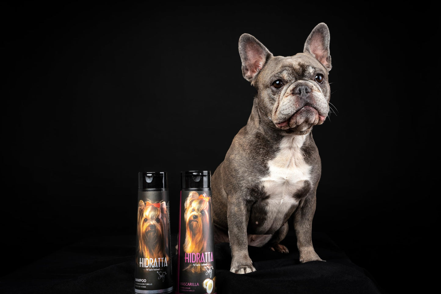 Hidratta Premium Dog & Cat Hydrating Shampoo + Mask Kit – Henna & Natural Oils for Shiny, Tangle-Free Coat – 12.5 oz / 370 ml Set