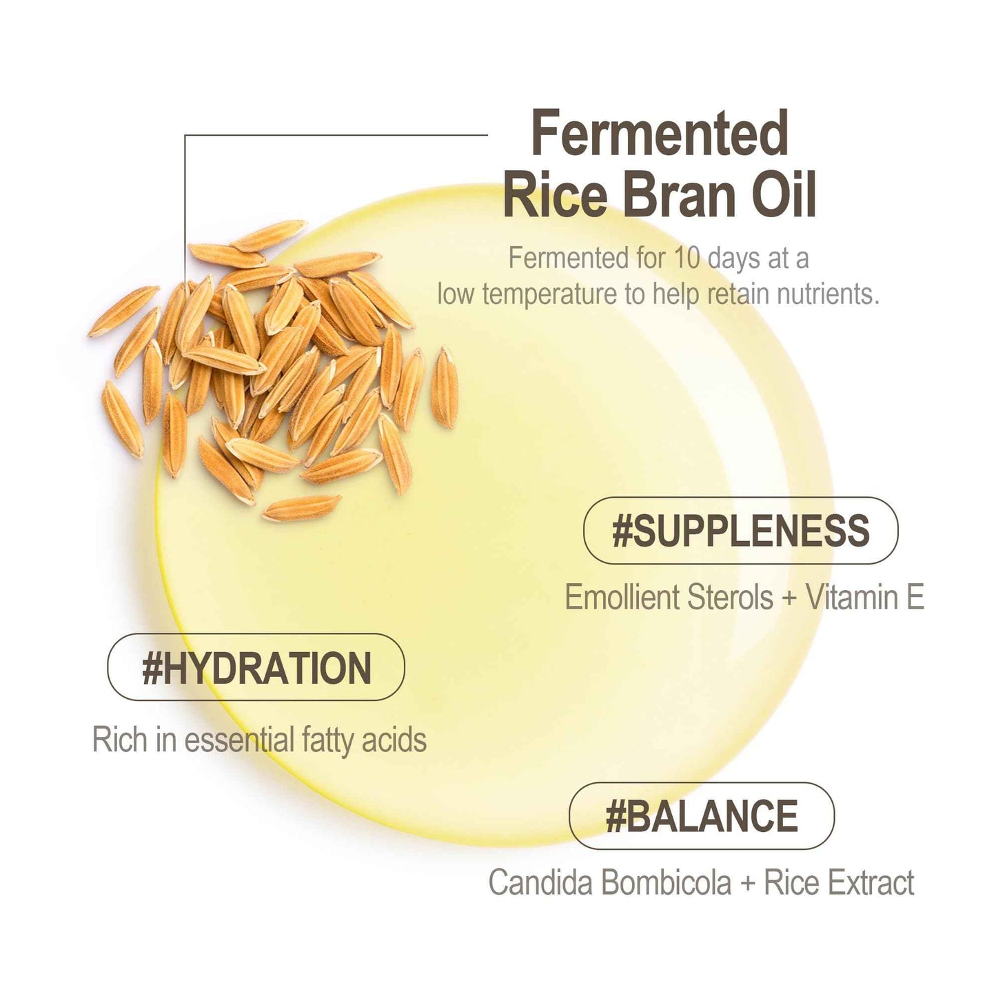 HAYEJIN Rice Bran Oil for Face | Face Moisturizer w/Fermented Rice Bran Oil | Korean Face Oil for Women | Face Serum for Glowing Skin | Korean Skin Care Facial Oils (Pack of 1, 1.01 Fl. Oz)