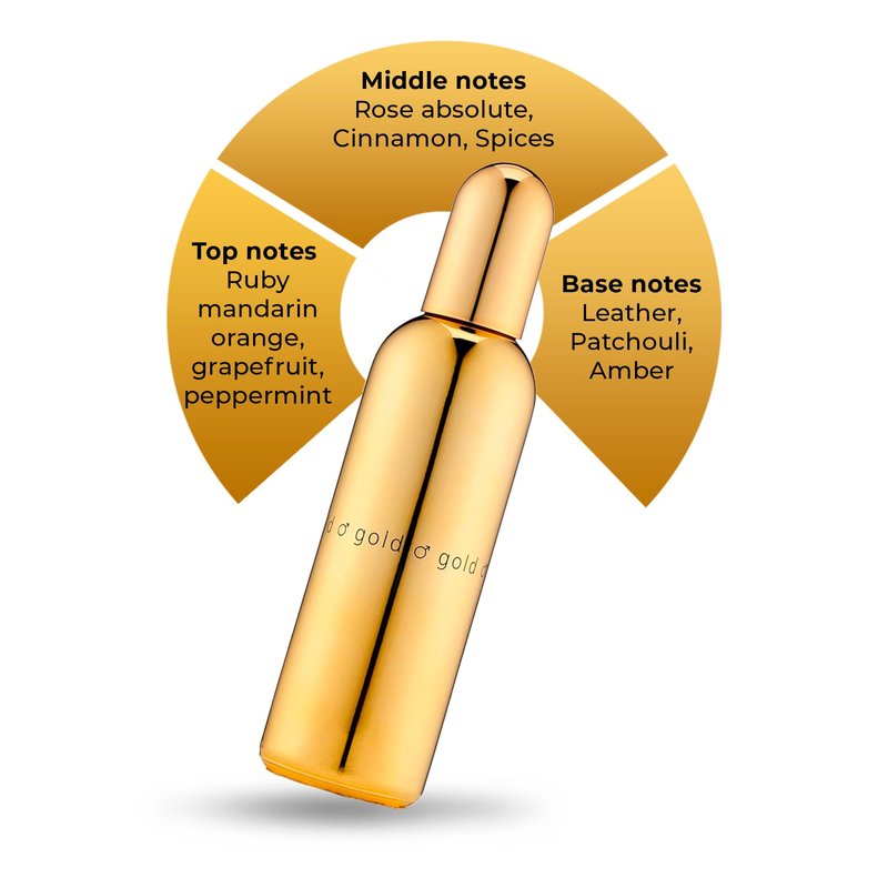 COLOUR ME Milton-Lloyd Gold Homme - Cologne for Men - Oriental Parfume for Men - Spicy, Amber Parfume - Mens Cologne - Long Lasting Parfume - 3 oz.