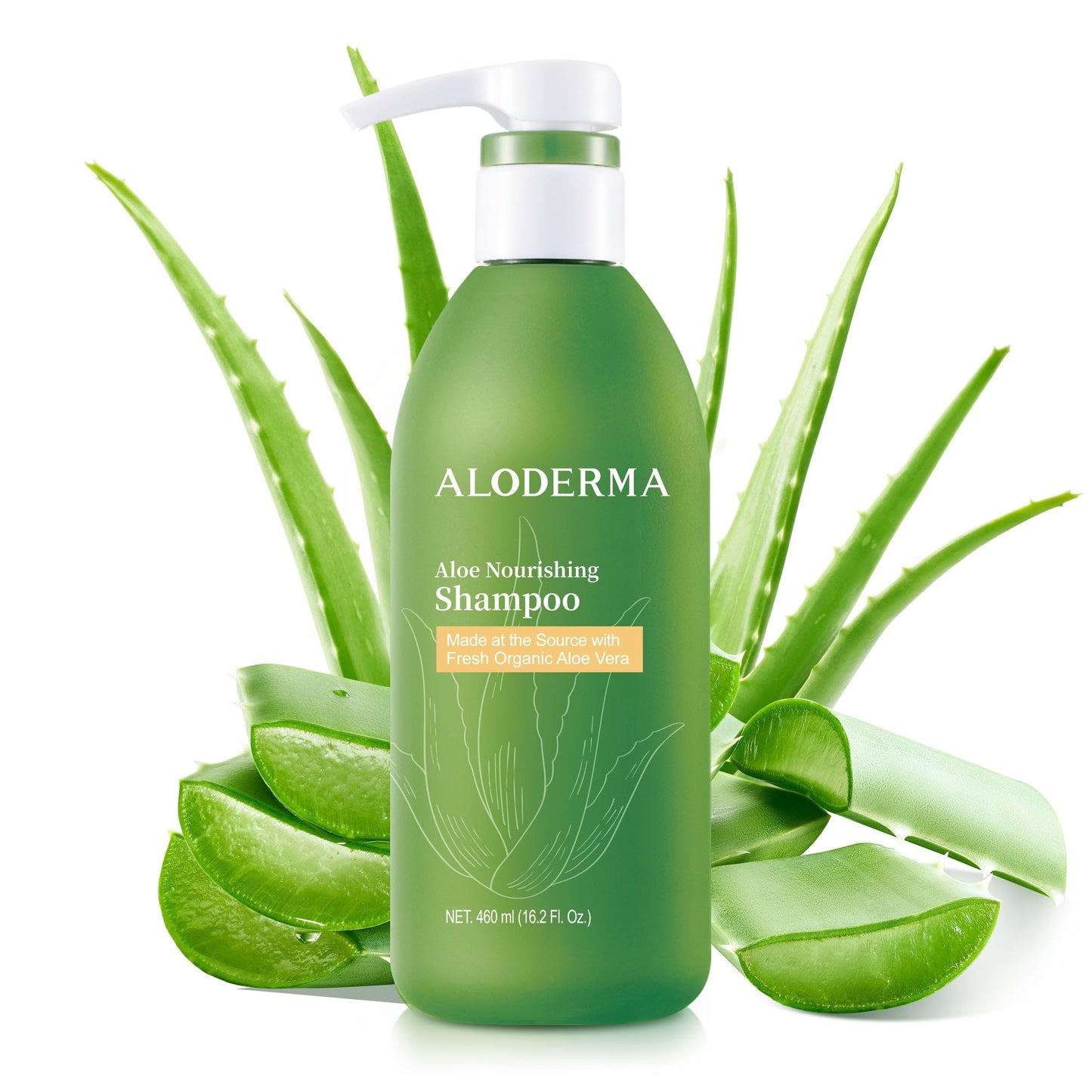 Aloderma Aloe Nourishing Shampoo, Organic Aloe Vera for Damaged Hair, 16 oz
