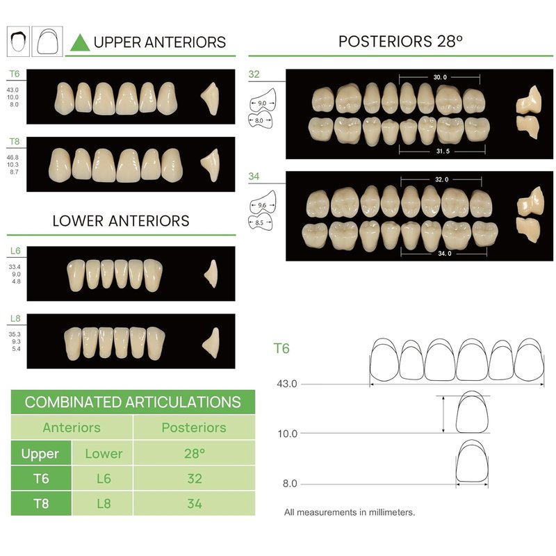Acrylic Resin Denture Teeth Set - 112 Pcs Shade A3 | Synthetic Polymer Fake Teeth for Halloween & DIY