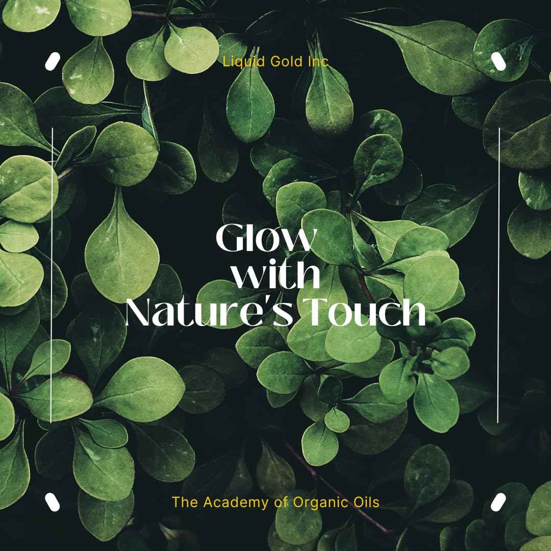 Liquid Gold Inc - 8 oz - Premium Comfrey Herbal Infused Oil - Pure Natural Organic Skin Hair Body Care