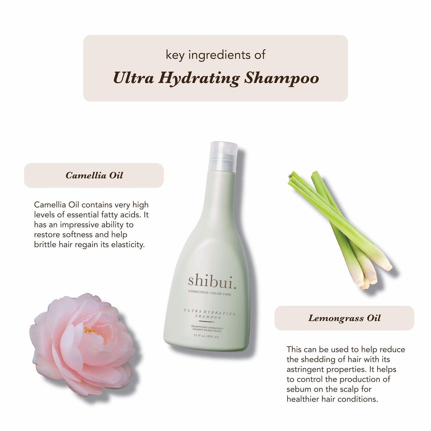 SHIBUI Ultra Hydrating Shampoo, Moisture-Rich Color Protection & Cleansing with Camellia & Lemongrass Oils for Medium to Textured Hair, Color-Safe & Silicone-Free, 12 Fl Oz