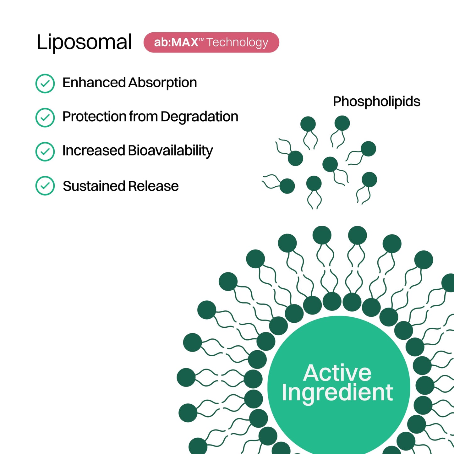 Haroutine Liposomal Hair, Skin & Nails Gummies, 2500 mcg Liposomal Biotin, 1200 mcg Vitamin A, 2 mg Vitamin E, Healthy Hair, Nail Strengthener, Skin Support - 30 Servings Raspberry Rose Flavor