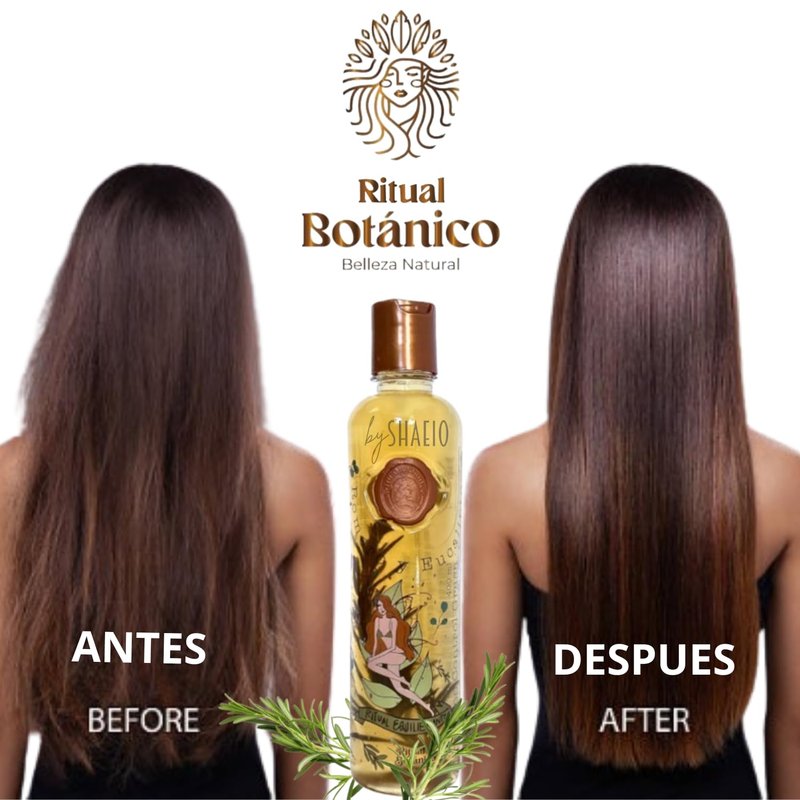 Rosemary Shampoo - Ritual Botanico Eucalyptus & Growth Activator | Controls Oil, Reduces Hair Loss, Adds Shine & Softness