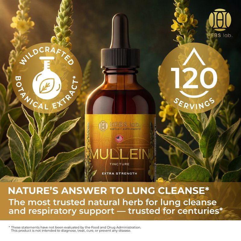 HEBS LAB. Mullein Leaf Extract for Lung Cleanse and Health - Mullein Drops Made in USA - Lung Support Supplement - Herbal Respiratory Support - Mullein Extract Tincture 4 Fl Oz