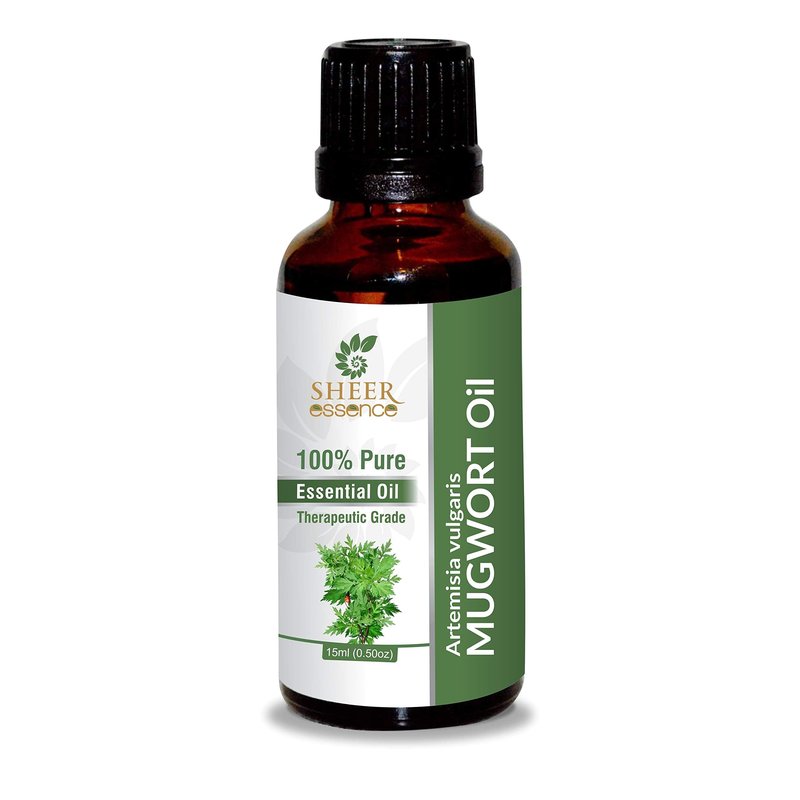Sheer Essence Mugwort Oil 15 ML (0.51 Fl.OZ) | 100% Pure Natural Undiluted Uncut Therapeutic Grade Artemisia Vulgaris Essential Oil