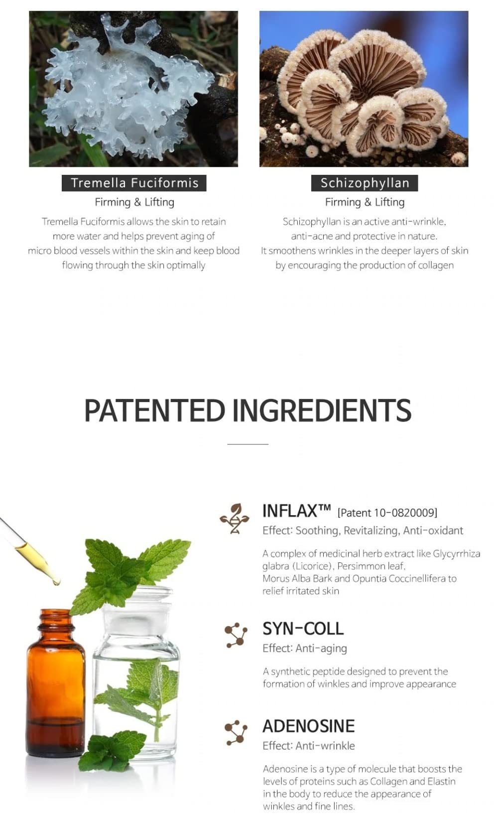 THE PLANT BASE Korean Collagen Serum – Time Stop Mushroom Ampoule, 76.5% Mushroom Extract & Vegan Collagen Face Serum for Anti-Aging, Firming & Plumping | K-Beauty Award Winner, 1.01 fl oz