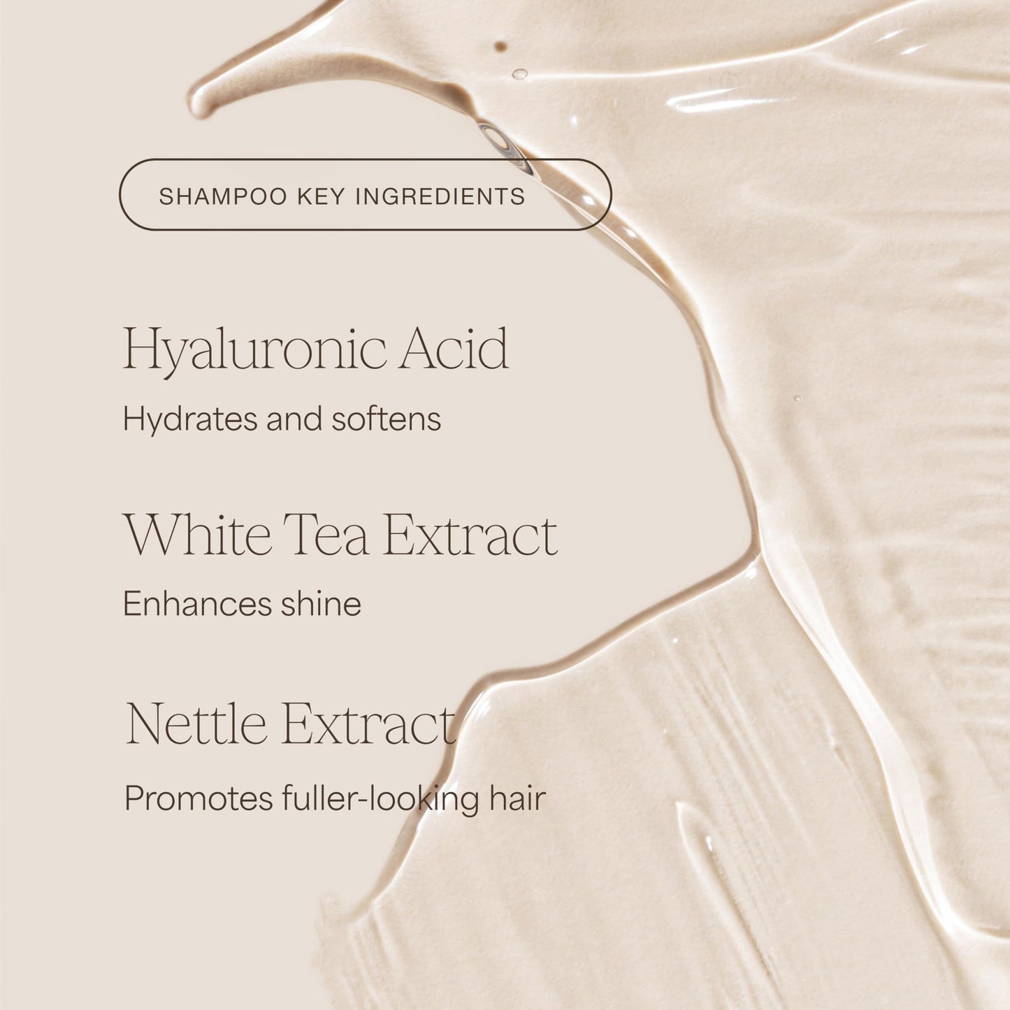 Raw Sugar Volume Revive Shampoo and Conditioner Set (18 Fl. Oz) + Not So Dry Shampoo, Formulated without SLS/SLES + Parabens, Cruelty Free & Vegan - 18 Fl. Oz.