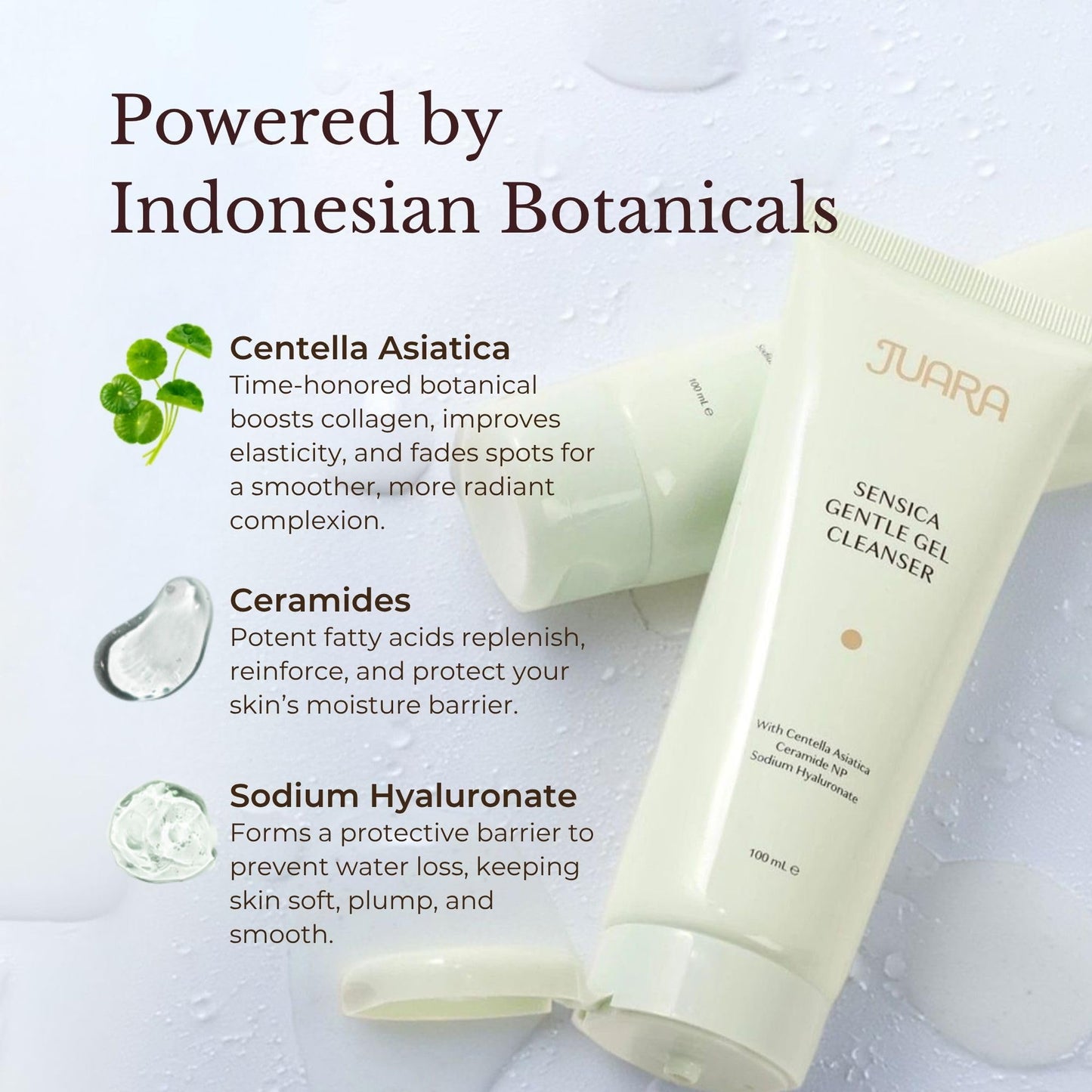 JUARA Sensica Gentle Gel Cleanser - Sulfate Free Face Wash for Sensitive Skin with Plant Extracts & MultiEx BSASM - Natural Daily Facial Cleanser, 3.3 oz