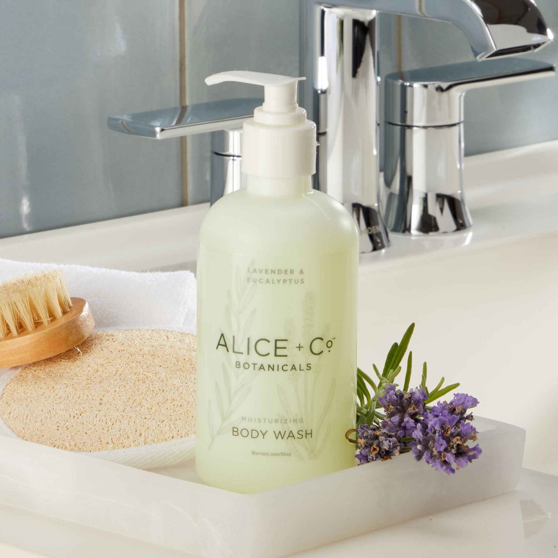 Alice + Co. Body Wash | Lavender & Eucalyptus | Hotel Bath Amenities | Fairfield by Marriott | 8.5 oz Body Wash