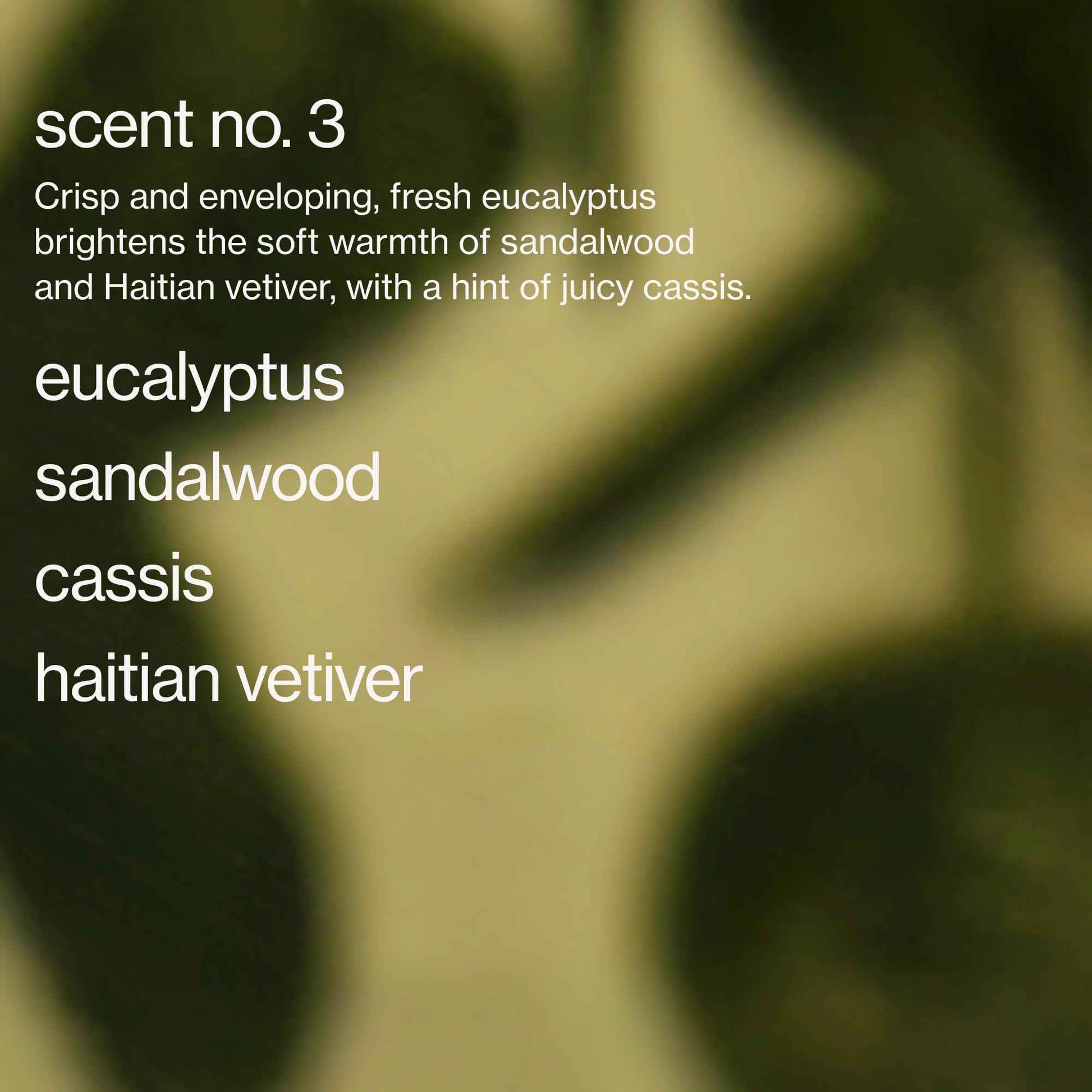 Maude Soak No. 3 - Nourishing Mineral Bath Salts - Hand-Harvested Dead Sea Salt with Magnesium & Potassium Chloride - Soften & Rejuvenate Skin - Notes of Sandalwood & Eucalyptus (8 oz)