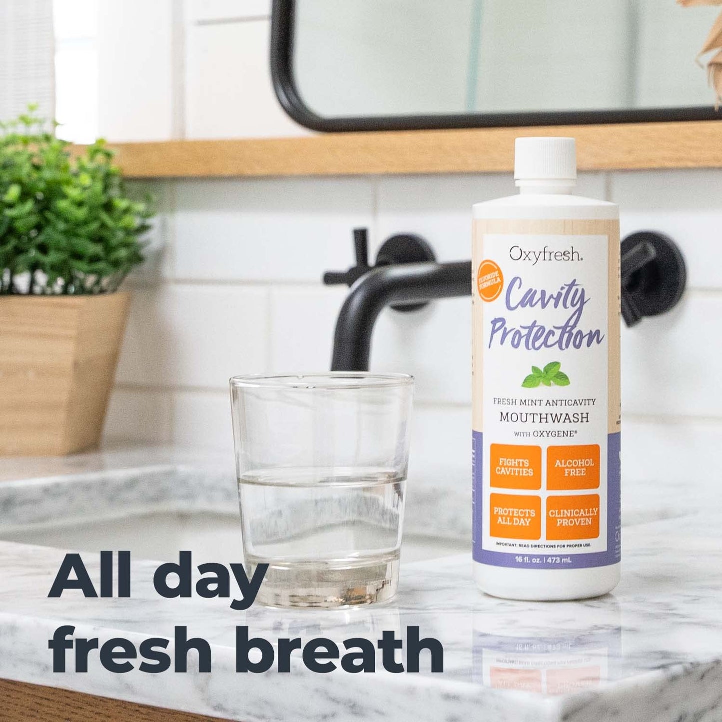 Oxyfresh Cavity Protection Fluoride Mouthwash – Anticavity Mouthwash for Sensitive Teeth, Non - Staining, Alcohol Free, Lasting Fresh Breath - 16 fl Oz (Pack of 3)