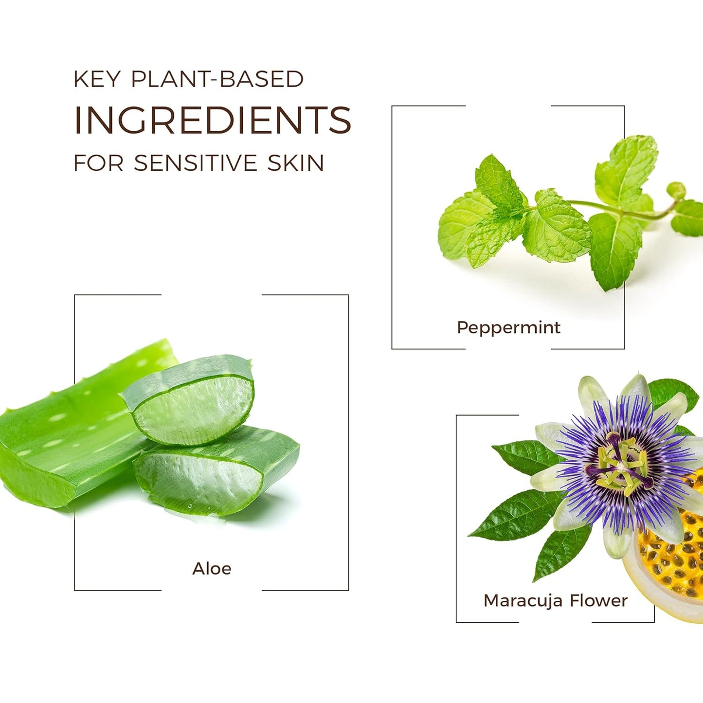 BABO Botanicals Citrus Mint & Passion Fruit Conditioner - Purifying Shea Butter & Green Tea Formula | For All Ages