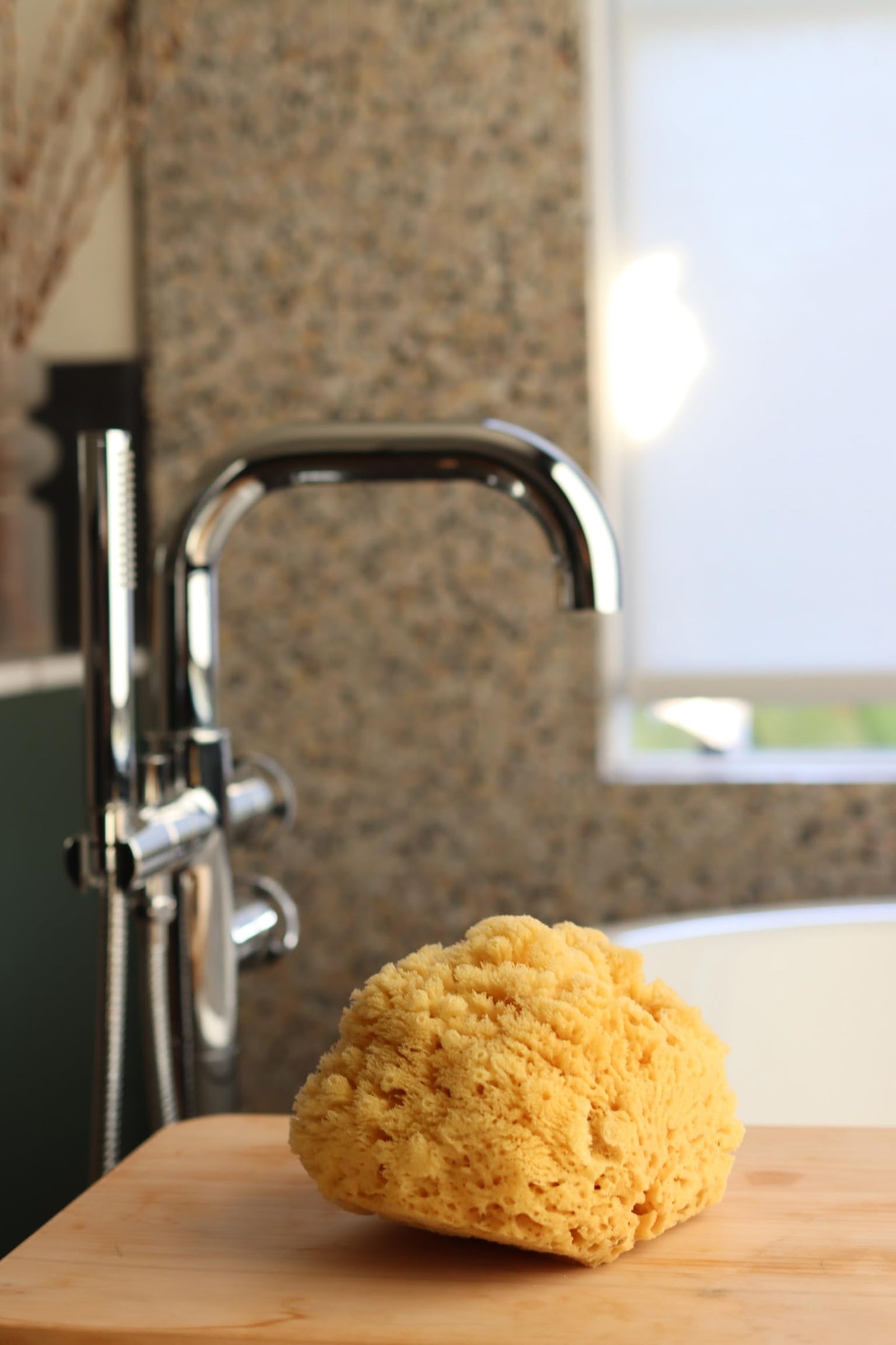 Real Sea Sponge for Men - Extra Large 6"-7", Totally Natural, Kind on Skin for an Invigorating Shower, Supplied in Breathable Mesh Bag. Great for The Gym, Grooming, Bath & Body Gift by Constantia Man