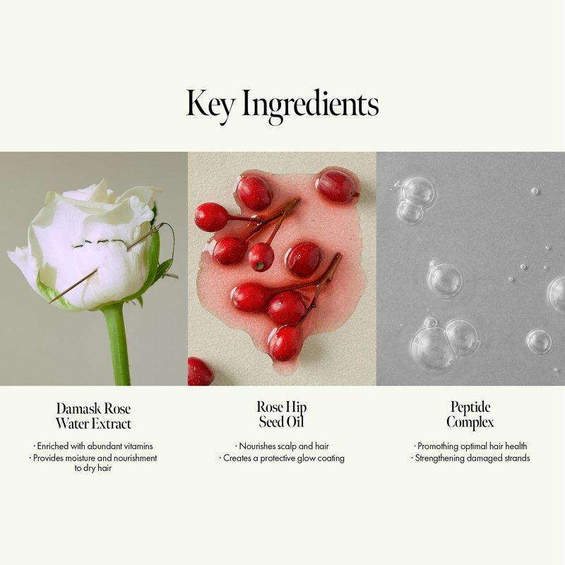 ANILLO Rosy Night Hair Ampoule Treatment for Damaged Hair – Water-to-Cream Repair Formula with Peptides & Amino Acids – Frizz Control, Color Safe, Silicone-Free, Floral Musk Scent – 6.76 fl oz