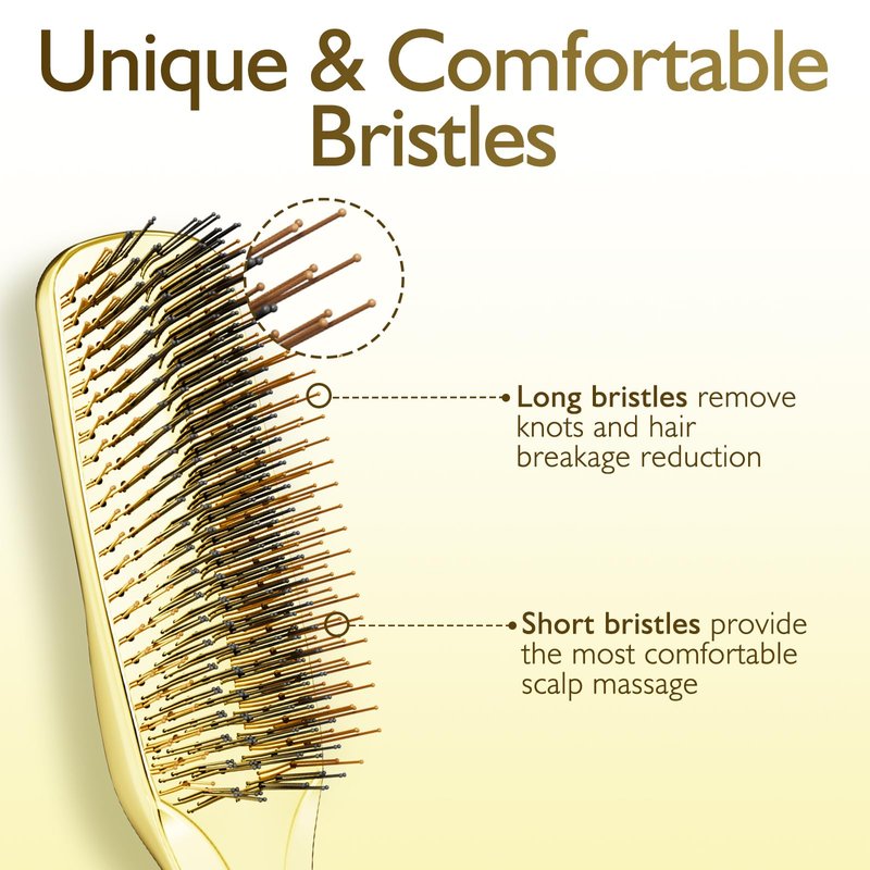 Daily Gard Detangling Hair Brush, Dry and Wet Detangler Hair Brush for Women and Men, Massager Scalp Brush for Straight//Long/Fine Hair, Gold