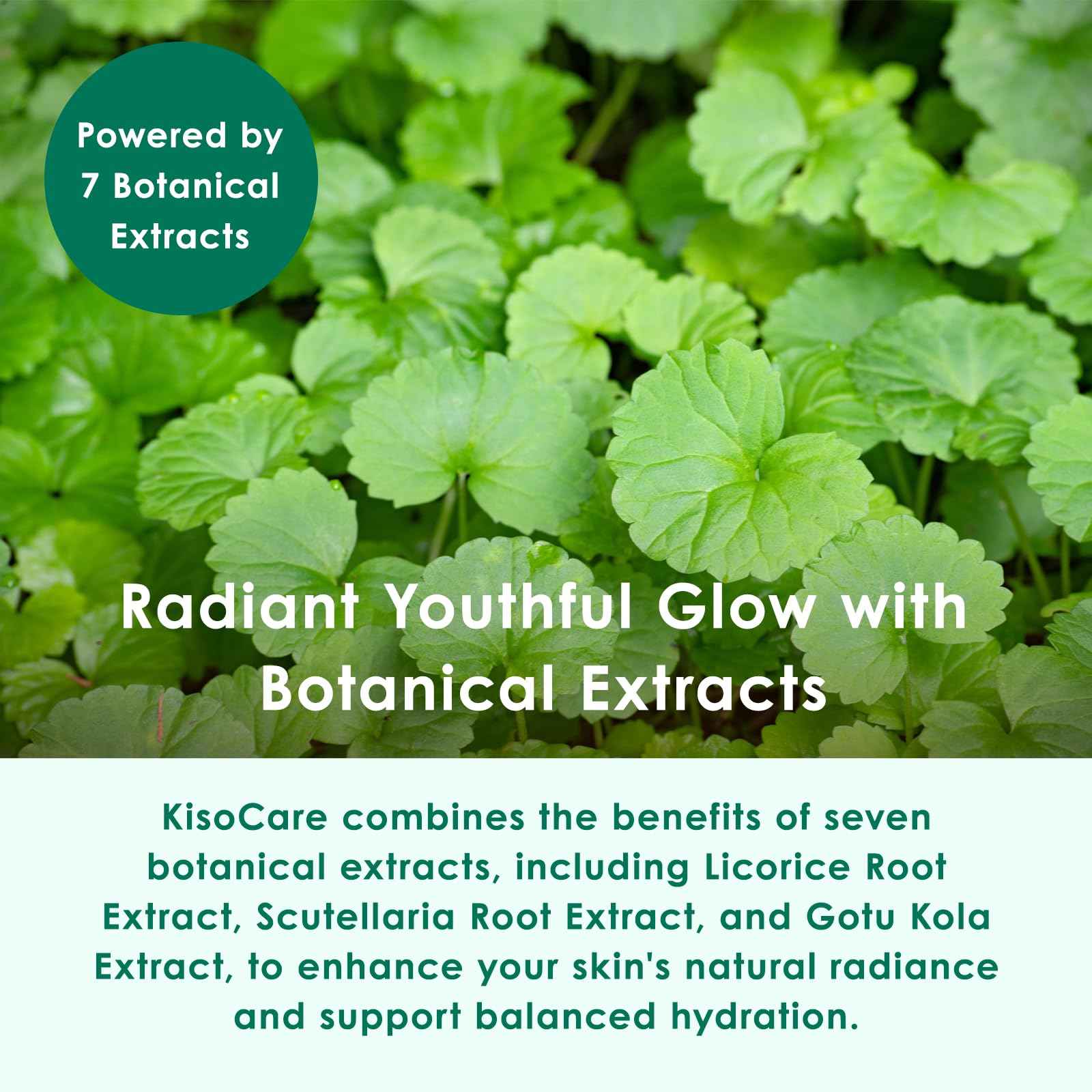 KisoCare 20% Niacinamide Cream (50 g), Tuboxa Extract, CICA, Aloe Vera Extract, Plants, Stem Cell Extract, Hyaluronic Acid