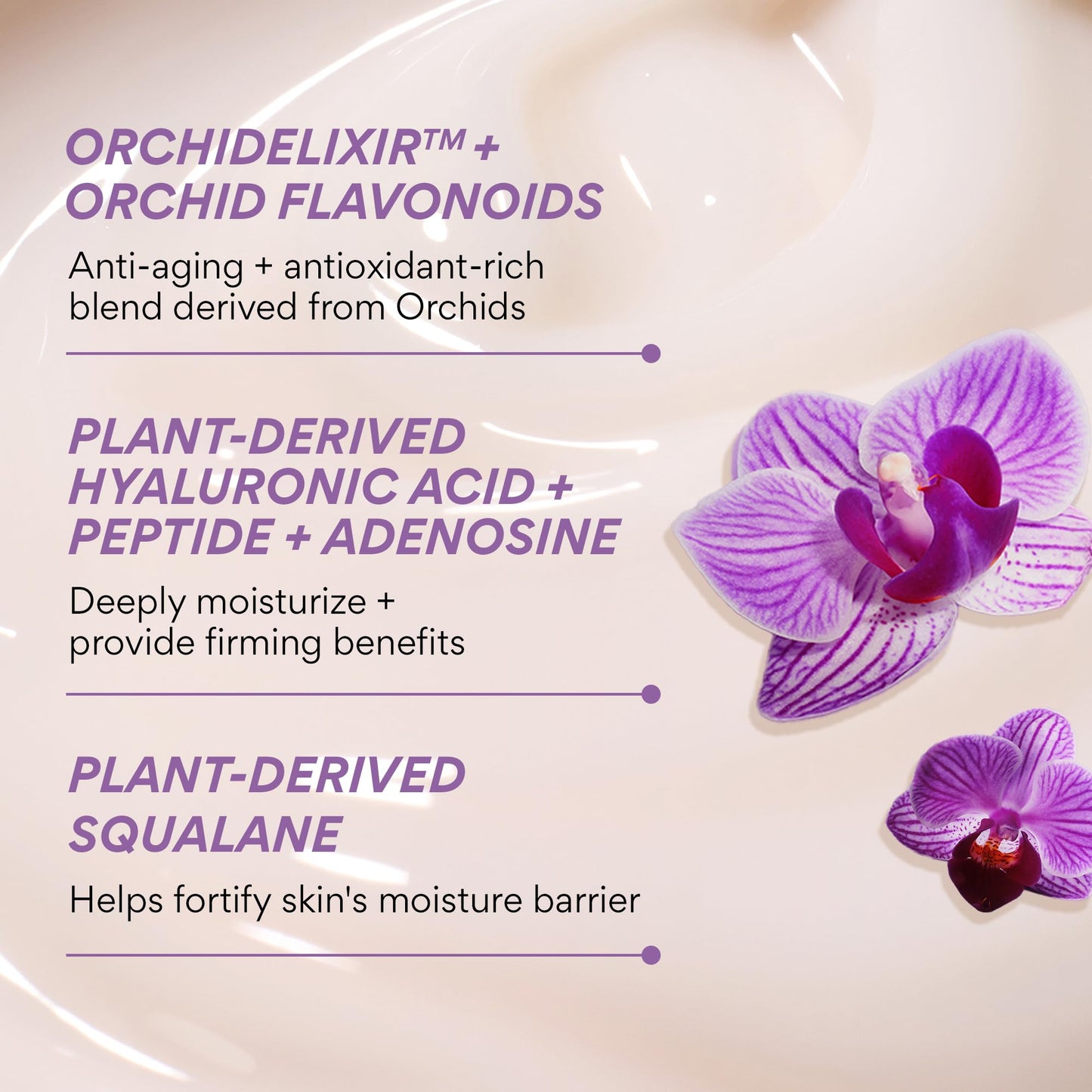 innisfree Orchid Youth‑Enriched Cream | Korean Firming Face Moisturizer with Hyaluronic Acid and Niacinamide for Hydrating, Anti‑Aging Care and Youthful‑Looking Skin