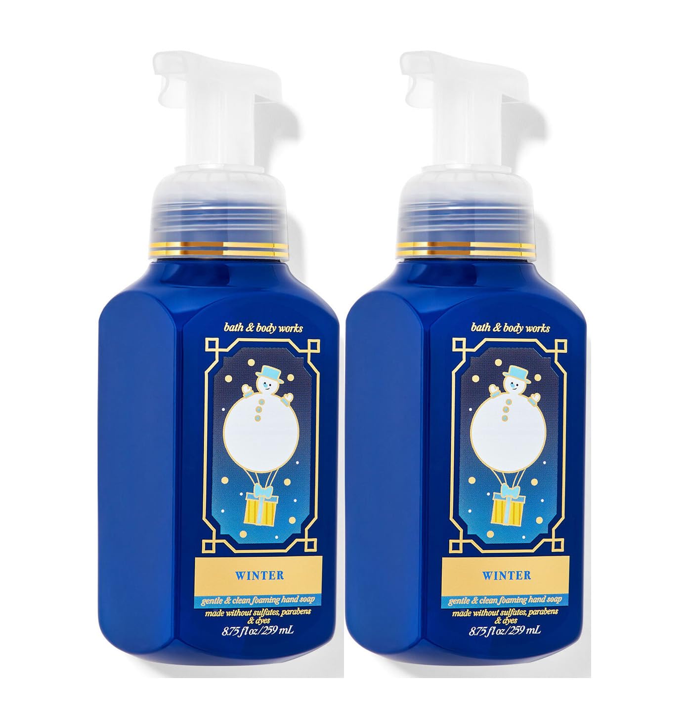 Bath and Body Works Gentle & Clean Foaming Hand Soap 8.75 Ounce 2-Pack (WInter)