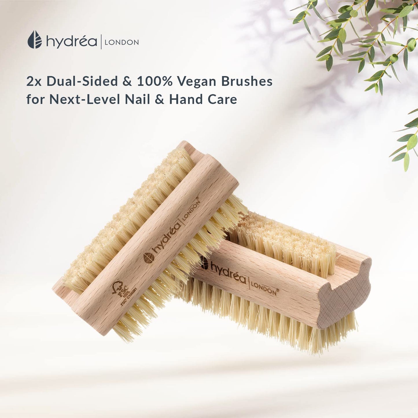 Hydréa London Beechwood Nail Brush Set - Extra Tough FSC® Certified with Firm Cactus Bristles | Twin Pack
