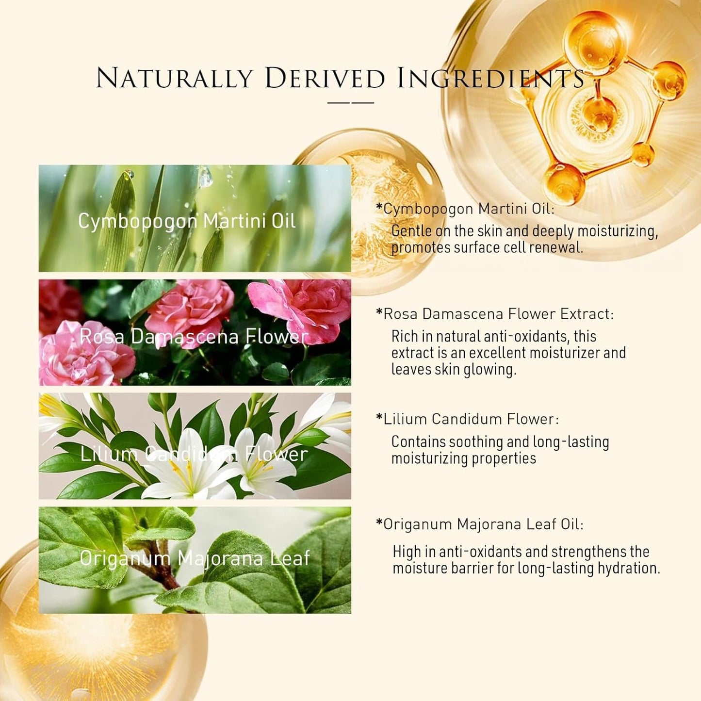 Q10+ Vitamin E Facial Oil Serum - Moisturizing & Antioxidizing for All Skin Types | 30ml