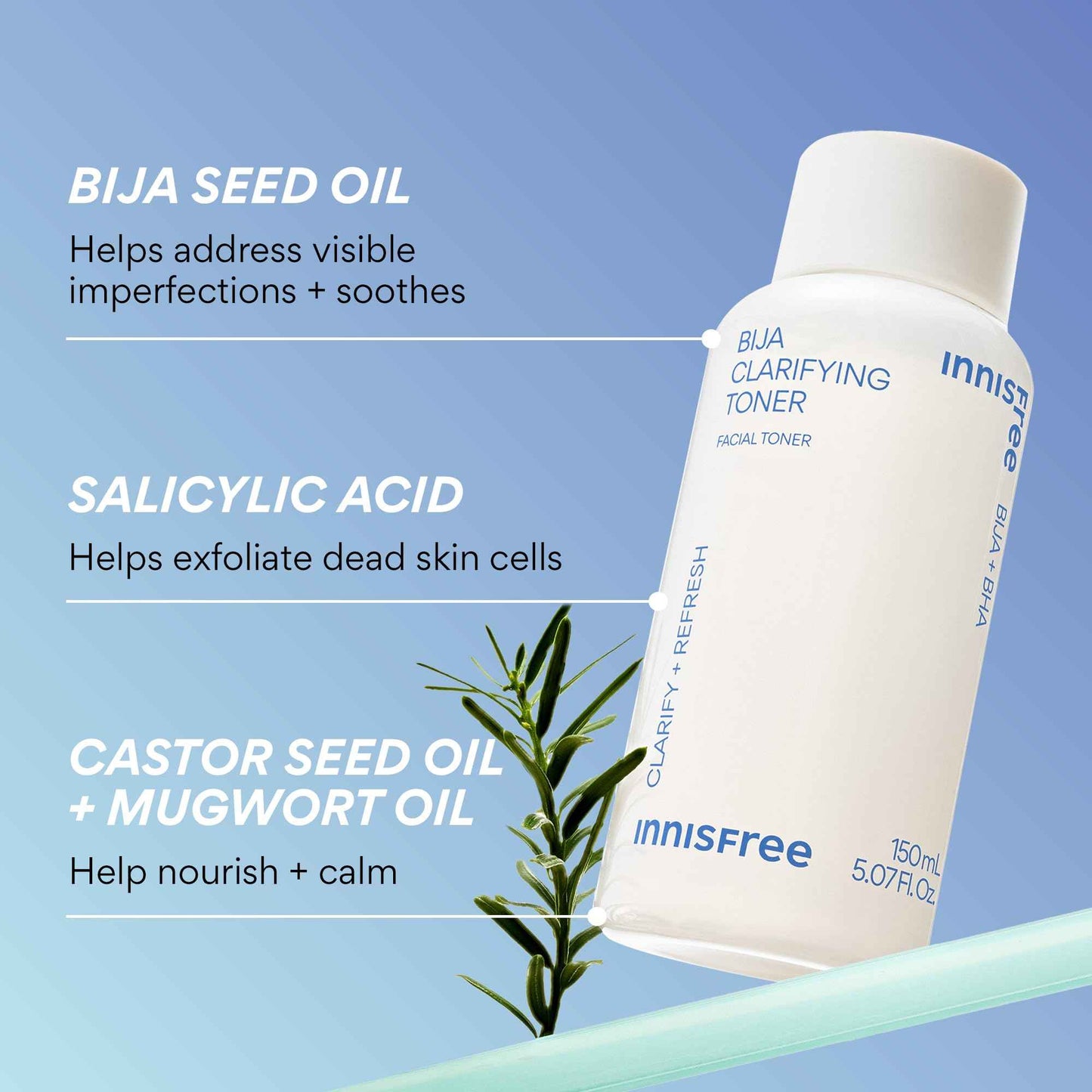 innisfree Bija Toner with Salicylic Acid, Korean Skincare for Pore Care, Smoothing, Clarifying, Oil Control