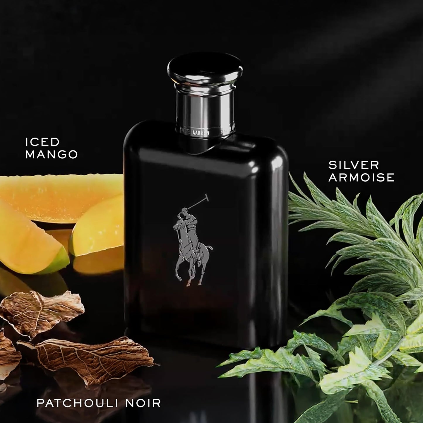 RALPH LAUREN FRAGRANCES Polo Black - Eau de Toilette - Men's Cologne - Woody & Fresh - With Patchouli, Sandalwood, and Mandarin - Medium Intensity - 6.7 Fl Oz