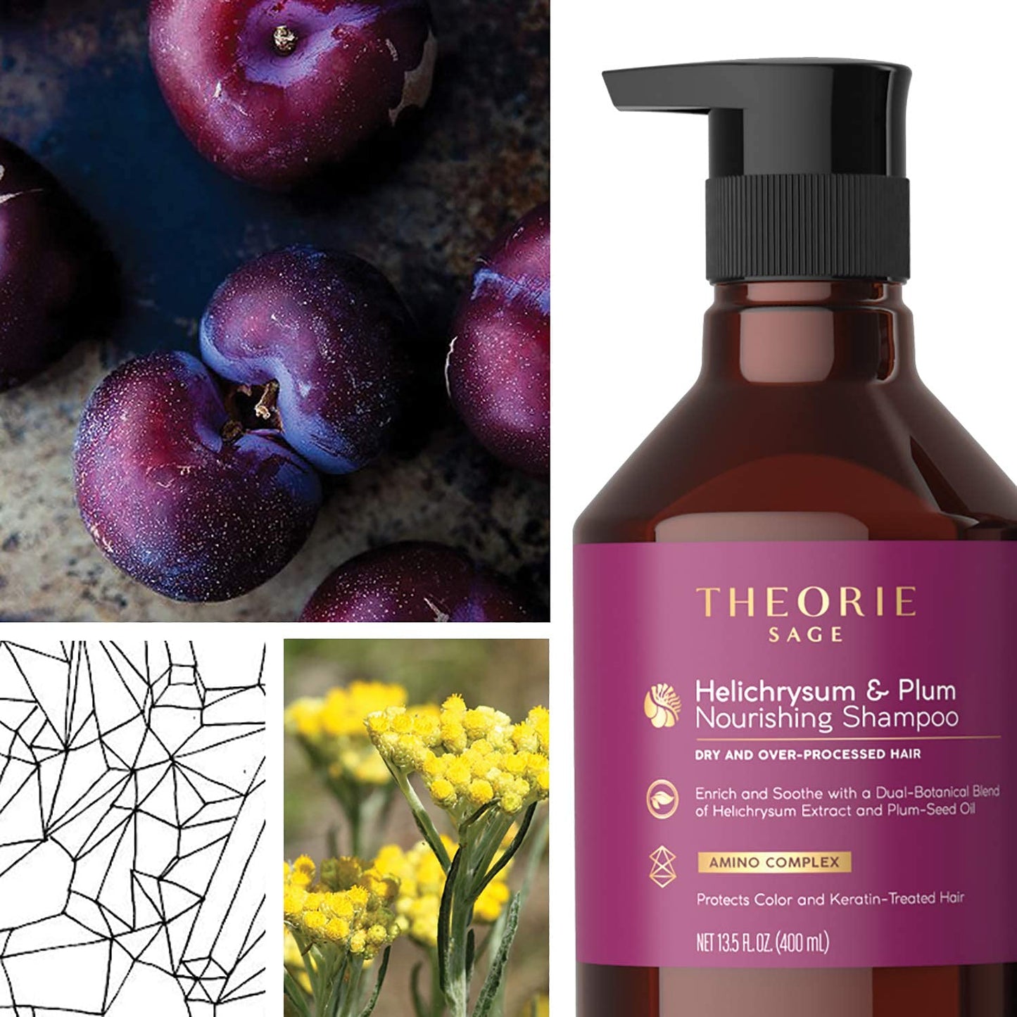 Theorie Nourishing Shampoo with Helichrysum & Plum - Enriches & Soothes Dry Hair | 800mL Pump Bottle